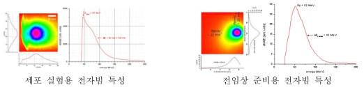 세포 및 전임상 준비용 전자빔의 특성