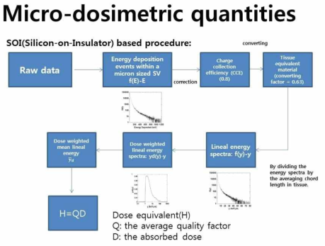 microdosimetric 측정을 이용한 의학적 선량예측 개념도