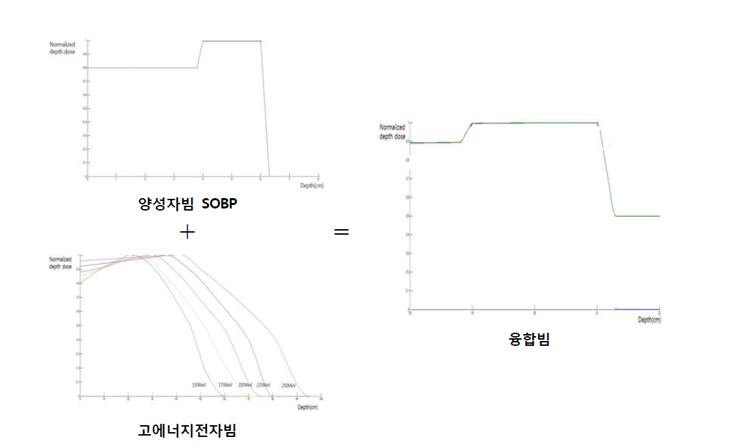 융합빔의 Dose distribution