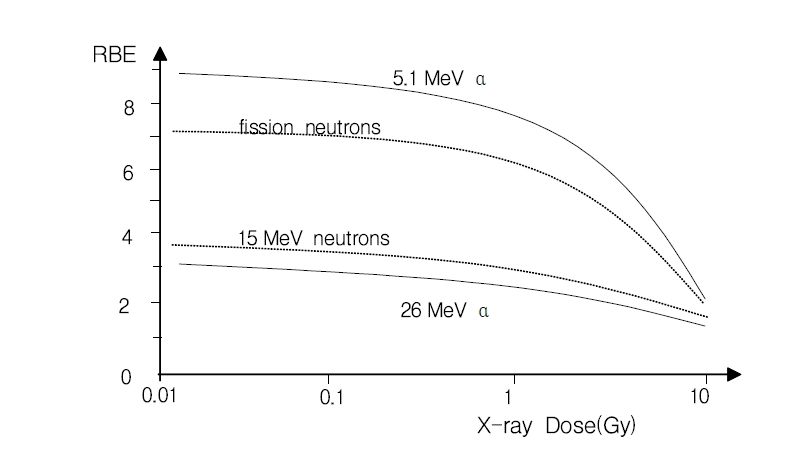 선량에 따른 RBE의 변화
