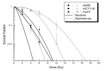 방사선을 조사한 암세포의 생존곡선