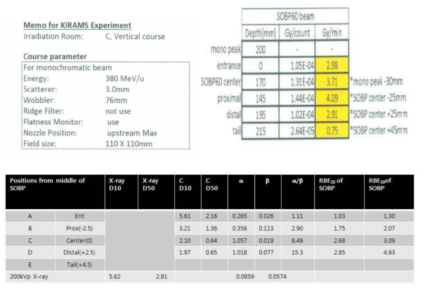 중입자 380 MeV mono beam를 이용한 HSG 세포의 Depth별, endpoint별 RBE value