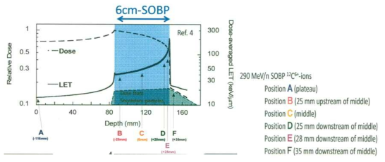 중입자 290MeV 6CM SOBP beam depth 측정position