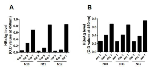 DH 10, DH 11, DH 12의 HBV 감염 후 HBeAg과 HBsAg 발현정도 확인
