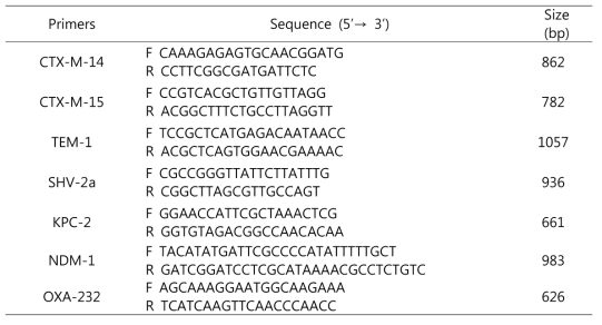 항생제 내성관련 유전자 PCR에 사용된 Primer