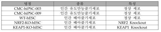 실험에 사용된 인간 만능줄기세포주