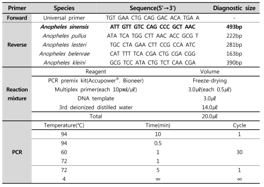 얼룩날개모기류 5종 분류를 위한 Multiplex PCR 조성 및 조건