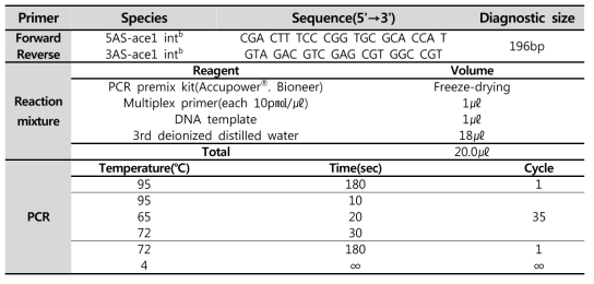 ace 1 gene PCR 조성 및 조건