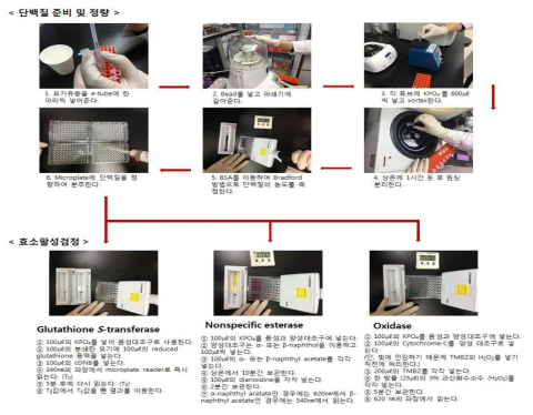 효소 활성 실험 모식도