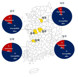 지역별 빨간집모기 kdr gene의 돌연변이 지리적 분포