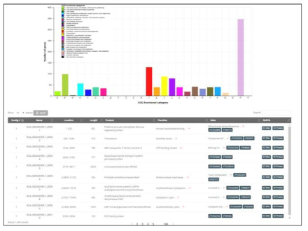 분석프로그램(BIOiPLUG)을 이용한 리케치아의 WGS analysis. R. japonica YH의 유전자의 기능별 카테고리(위), 각 CDS 위치 및 정보(아래)