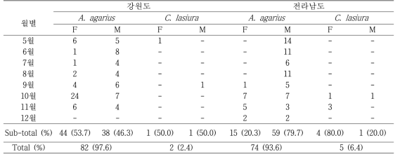 월별로 포획된 야생 설치류 포획결과