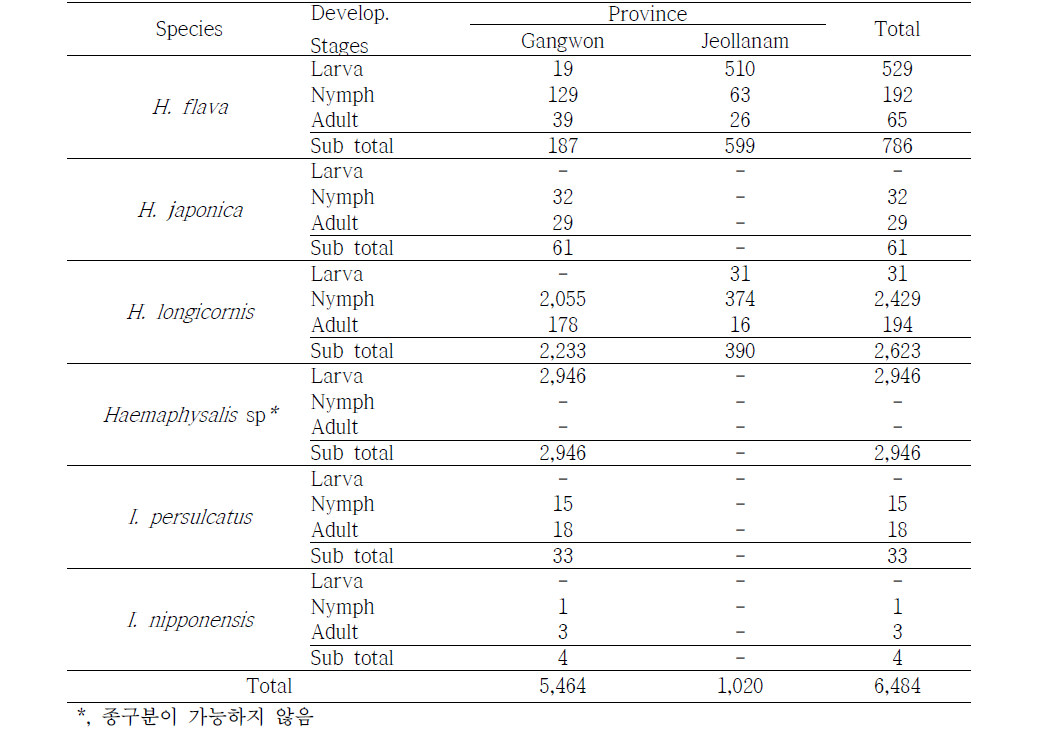 진드기 종별/발달단계별 채집결과