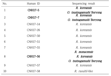 환자유래검체에서의 리케치아의 17-kDa 염기서열 분석결과