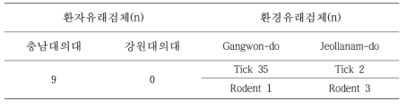 환경유래/환자유래 검체에서 분리된 분리주 리케치아의 수