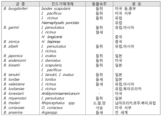 보렐리아균과 보유 진드기매개체 현황