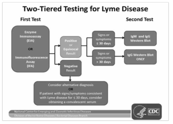 두 단계 검사 절차 (미국 CDC)