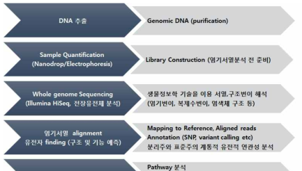 유전체 분석 절차 및 지표유전자 탐색 과정