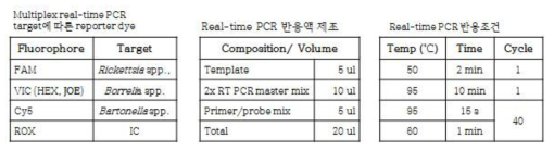 Real-time PCR 조건: Target에 따른 reporter dye, 반응액, 반응 조건