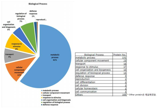 두 분리주에서 동정된 단배질의 Biological process 별 분류