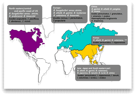 보렐리아균과 진드기매개체 분포 현황