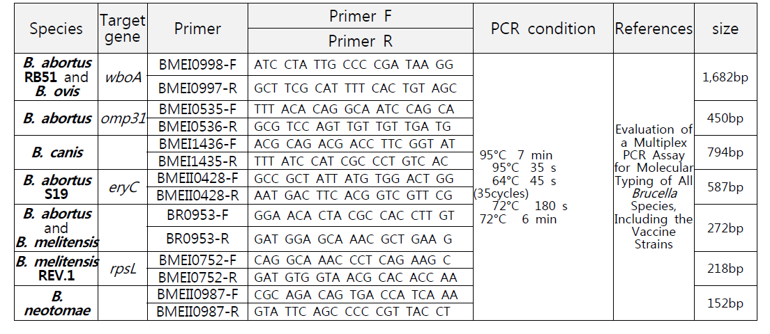 Brucella multiplex PCR condition