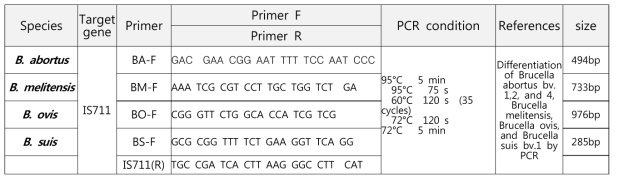 Brucella AMOS multiplex PCR condition
