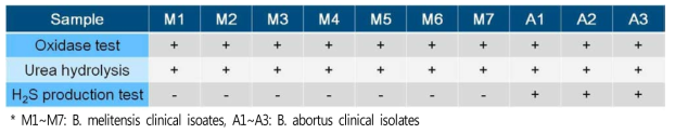 Biochemical analysis results of 10 Brucella isolates from the patients
