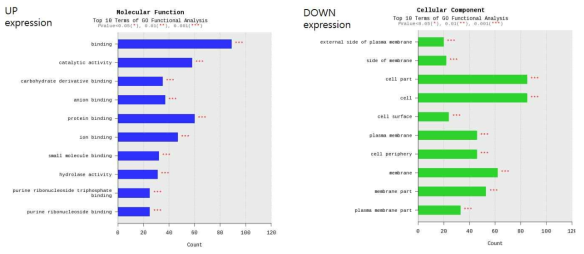 Cellular Component(Up/Down expression gene) of spleen tissues