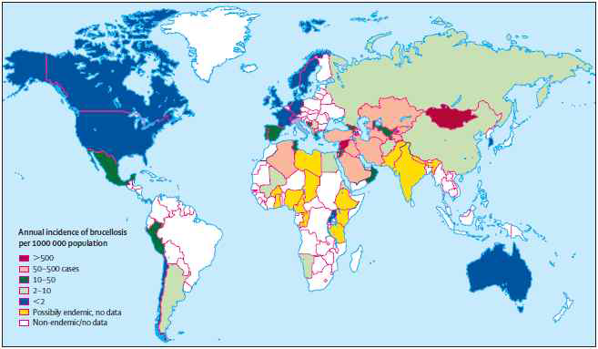 전 세계의 브루셀라 발생 분포도 ※ 출처:: Pappas, G, P Papadimitriou, N Akritidis, L Christou, EV Tsianos. The New Global Map of Human Brucellosis. Lancet Infectious Disease. 2006. 6:91-99