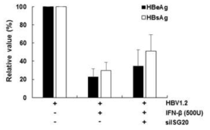 siISG20에 의한 IFN-β 매개 HBV 억제효과의 감소