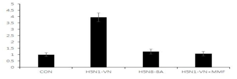 H5형 바이러스 감염에 의한 중성 지방 발현 및 MMF의 억제 효과. H5N1-VN, H5N8-BA 바이러스를 마우스에 각각 감염 시켜 발현된 중성지방의 양과 H5N1-VN 바이러스 감염 후, MMF를 투여한 마우스의 중성 지방 발현양을 비감염 마우스의 중성 지방 양에 표준화하여 나타내었다