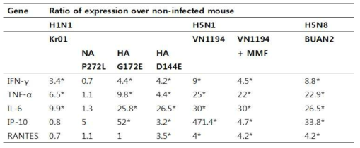 다양한 바이러스 감염 및 MMF 투여에 의한 마우스의 염증성 싸이토 카인 발현 비교