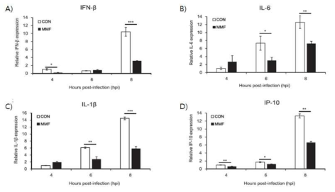 MMF 처리에 따른 H5N1-VN 바이러스 감염 세포에서의 염증성 싸이토카인 및 케모카인의 발현 양상. MDCK 세포를 0.1 MOI의 H5N1-VN 바이러스로 감염 시킨 후, 1 μg/ml의 MMF를 처리하고, 각각 4, 6, 8시간에 세포에서의 (A)IFN-γ, (B) TNF-α, (C) IL-1β, (D) IP-10, mRNA 발현을 확인하였다. 각각의 대조군(CON)과 비교하여, 통계적으로 유의적인 차이를 보이는 것은 *P < 0.05, **P< 0.01, ***P < 0.001로 나타내었다