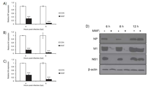 MMF 처리에 따른 H5N1-VN 바이러스 mRNA 및 단백질 발현 억제. MDCK 세포를 0.1 MOI의 H5N1-VN 바이러스로 감염 시킨 후, 1 μg/ml의 MMF를 처리하고, 각각 4, 6시간에 세포에서의 바이러스 (A) NP, (B) M1, (C) HA, mRNA 발현과 (D) 단백질(NP, M1, NS1) 발현을 확인하였다. 대조군(CON)의 발현양을 1로 기준하여, 나머지는 비교값으로 나타내었다. 대조군(CON)과 비교하여, 통계적으로 유의적인 차이를 보이는 것은 ***P < 0.001로 나타내었다