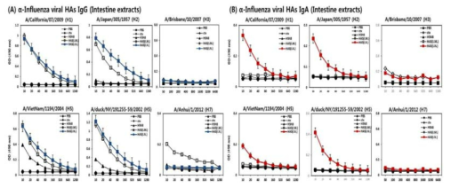 (수식) Group1 HA stalk (HA5) 접종 후 마우스 장에서 IgG/IgA 항체 생성 확인. (A) α-Influenza viral HAs IgG 측정 결과, (B) α-Influenza viral HAs IgA 측정 결과. HA5 면역항원을 마우스에 2주 간격으로 3차례 면역 후 장에서의 다양한 아형의 HA에 대한 IgG와 IgA가 생성됨을 ELISA로 확인한 결과. 각각의 그래프 위쪽은 ELISA를 위해 코팅한 HA 항원 단백질이 유래한 인플루엔자바이러스 아형을 나타낸다. A/California/07/2009(H1), A/Japan/305/1957(H2), A/Brisbane/10/2007(H3), A/VietNam/1194/2004(H5),A/Duck/NY/191255-59/2002(H5), A/Anhui/1/2012(H7), PBS( ): PBS로 면역한 마우스의 intestine extracts, ctx( ): Cholera toxin으로 면역한 마우스의 intestine extracts, H5N8( ): 불활화 H5N8로 면역한 마우스의 intestine extracts, HA5(I.M.)( ): HA5 면역항원을 I.M. 면역한 마우스의 intestine extracts, HA5(I.N)( ): HA5 면역항원을 I.N. 면역한 마우스의 intestine extracts, IgG에 대한 항체가 확인, HA5(I.N.)( ): HA5 면역항원을 I.N. 면역한 마우스의 intestine extracts