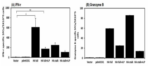 Alum phosphate를 이용한 H1 HA DNA 백신 면역에 의한 세포매개 면역 반응 분석 결과: H1 HA DNA 백신을 면역한 후 마우스의 비장세포의 H1 HA에 대한 CD8+ T 세포에 특이적인 세포매개 면역반응. (A) IFN-γ, (B) Granzyme B 측정 결과. (*p<0.05, **p<0.01)