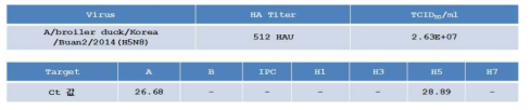 H5N8 바이러스의 배양 결과 및 역가 측정