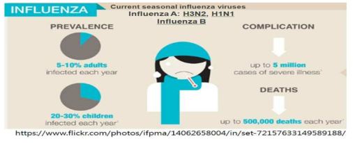 계절 인플루엔자의 유행과 감염: 인플루엔자는 매년 유행하며 5-10%의 성인과 20-30%의 유아가 감염된다. 이러한 계절인플루엔자에 의해 매년 500만명의 중증감염자가 발생하고 50만명 가량이 사망하는 것으로 추정된다