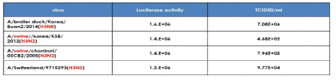 인플루엔자 바이러스 유사체 제작 확인을 위한 luciferase activity 측정 및 역가 측정