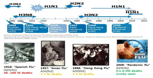 신종인플루엔자의 발생과 대유행: 1918년 스페인 독감(A/H1N1형) 발생 이후 1957년 아시아 독감(A/H2N2), 1968년 홍콩 독감(A/H3N2), 2009년에 북중미에서 A/H1N1형의 신종인플루엔자가 발생하여 대유행하였다. 대유행 인플루엔자의 발생은 전 세계적으로 일어나며 많은 수의 중증감염자 및 수백만 명에서 수천 만명의 사망자가 발생한다