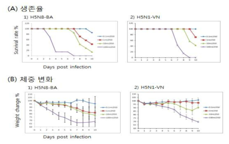 H5형 조류 인플루엔자 바이러스 감염양에 따른 마우스 병독성 확인. A/Broiler duck/Korea/Buan2/2014 (H5N8-BA), A/Vietnam/1194/2004 (H5N1-VN), 조류인플루엔자 바이러스를 6~8 주령의 Balb/c 마우스에 각각 0.1, 1, 10, 100mLD50로 감염 후, (A) 생존율, (B) 체중 변화를 측정 하였다