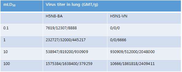 H5형 조류 인플루엔자 감염에 의한 마우스 폐의 바이러스 역가 측정
