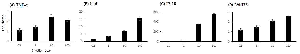 H7N9-AN 조류 인플루엔자 바이러스 감염양에 따른 마우스 폐의 염증성 싸이토카인 및 케모카인 유전자 발현. H7N9-AN 바이러스를 6~8 주령의 Balb/c 마우스에 각각 0.1, 1, 10, 100mLD50로 감염 후, 3일째 폐에서의 염증성 싸이토카인 (A)TNF-α, (B) IL-6와 케모카인 (C) IP-10, (D) RANTES 유전자의 발현 변화