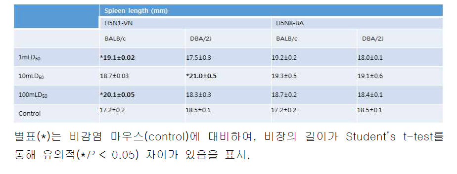 H5N1-VN, H5N8-BA 감염양에 대한 BALB/c 및 DBA/2J 마우스 비장 길이 측정