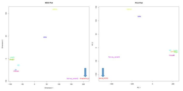 MDS plot (distance clusters based) and PCA plot (distance clusters based)