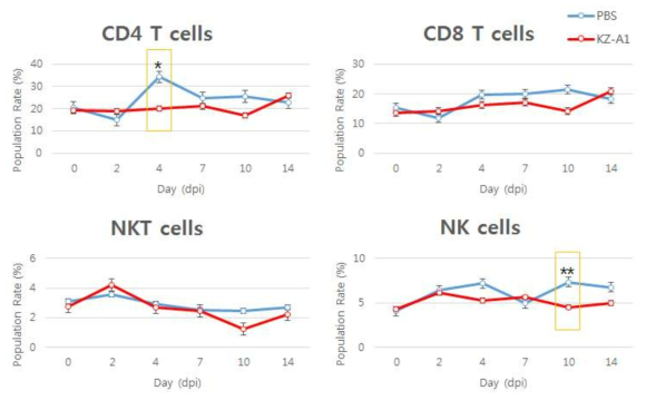 A. phagocytophilum KZ-A1 감염된 C57BL/6 마우스의 비장 조직 내 주요 면역세포 비율 변화