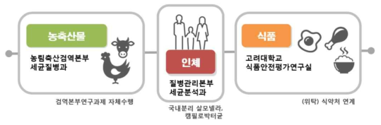 연구과제 연구체계 및 연구팀