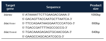 Primers used in this study for sequencing of the bla gene