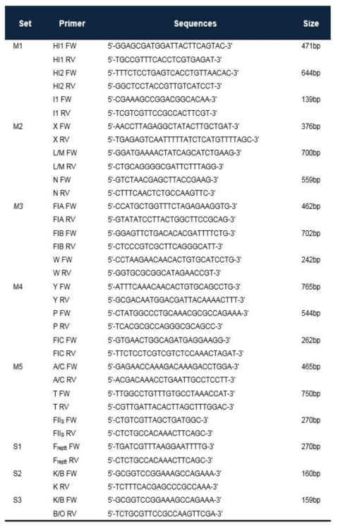 Primers used in this study for plasmid replicon typing